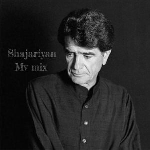 Moein Vafadar Shajarian